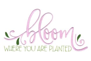 Bloom Where You Are Planted: A Designer's Review
