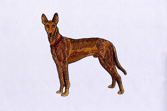 Brown Greyhound: A Craft Fair Best-Seller Review