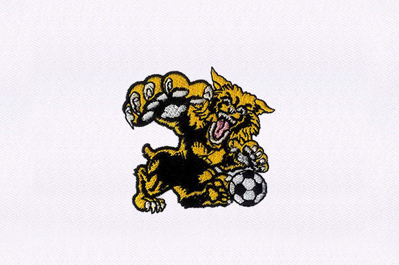 Cheetah Playing Soccer: A Designer's Review for Real Projects