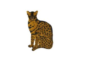 Fishing Cat: A Designer's Take on This Embroidery Gem