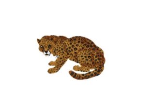 Jaguar: A Bold Seasonal Embroidery Design Review